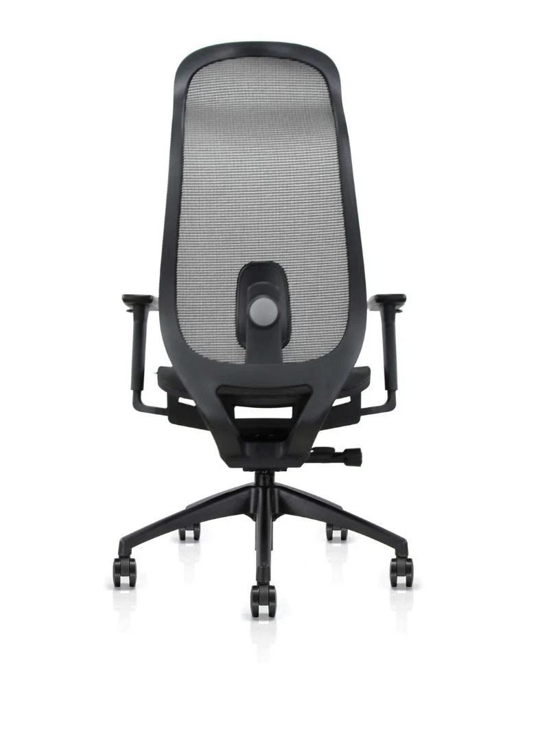 Image du produit 12